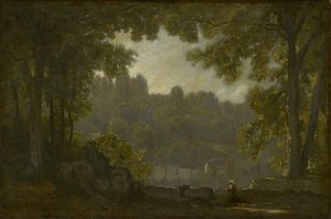 Forest Landscape